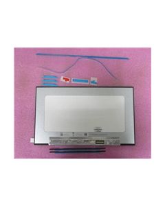 N00082-001-2XP