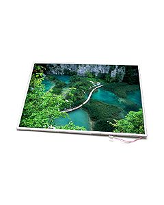 NEC VERSA E6300 Series Replacement Laptop LCD Screen - USED